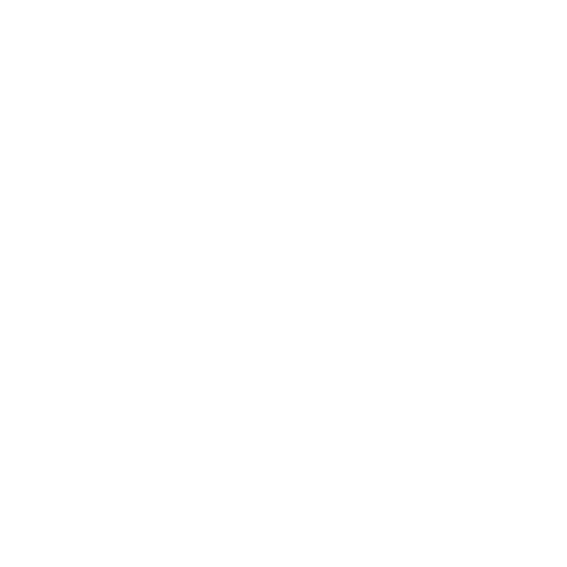 rim Commander Coating|Services